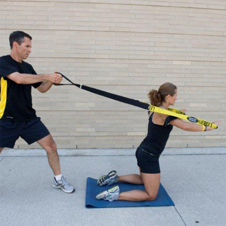 The Lebert Fitness Buddy System Exercises Resistance Training