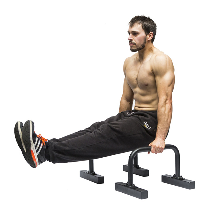 Calisthenics Gymnastics and Body Weight Dips Parallette Bars