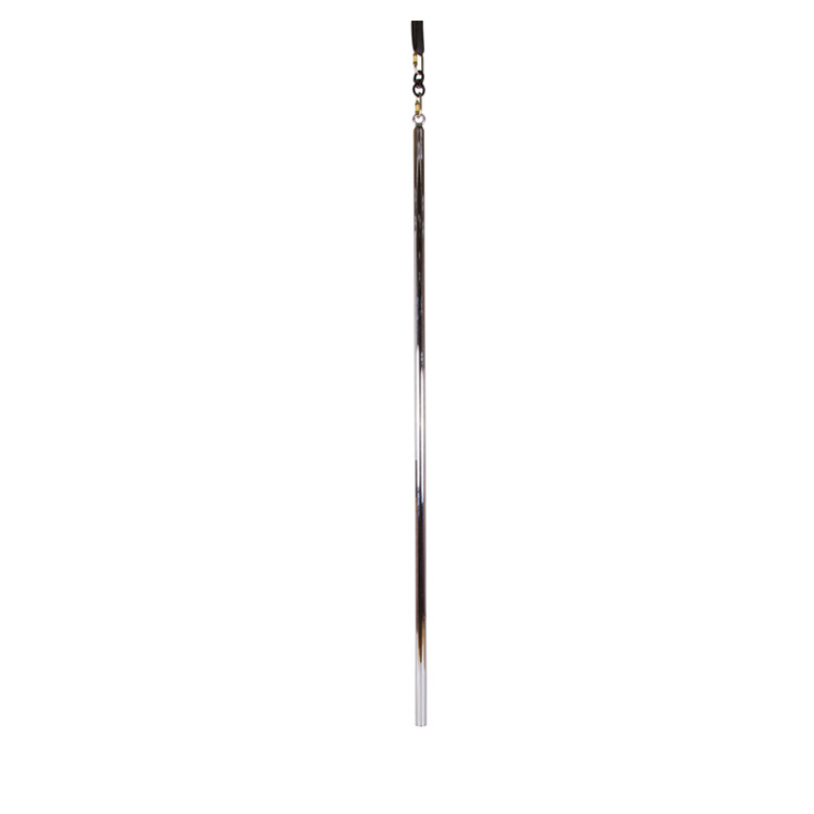 Fitness Aerial Flying Dance Pole